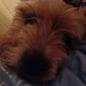 Meet your Posher, Rylez